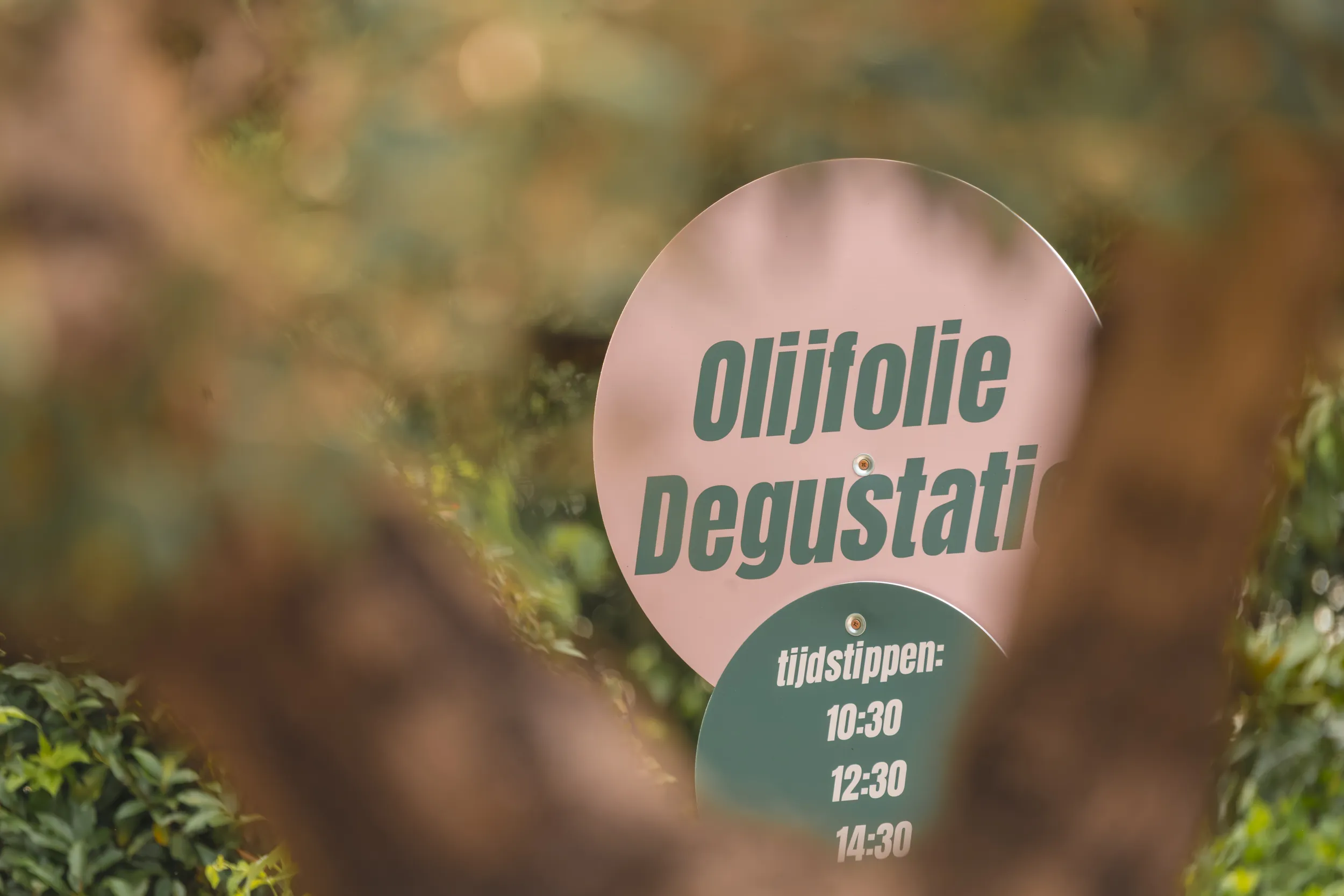 TierraLou olijfolie festival 2026
